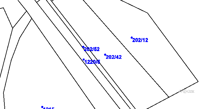 Parcela st. 202/42 v KÚ Radvanov, Katastrální mapa