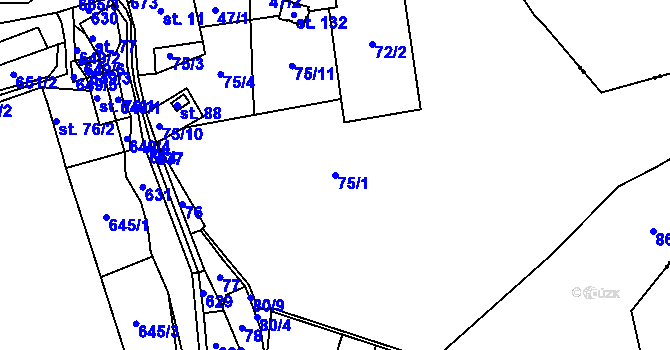 Parcela st. 75/1 v KÚ Luhy, Katastrální mapa