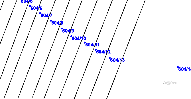 Parcela st. 604/12 v KÚ Luhy, Katastrální mapa