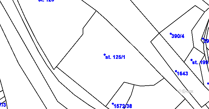 Parcela st. 125/1 v KÚ Luka nad Jihlavou, Katastrální mapa