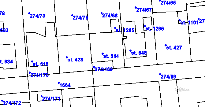 Parcela st. 514 v KÚ Luka nad Jihlavou, Katastrální mapa