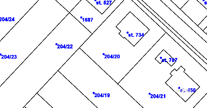 Parcela st. 204/20 v KÚ Luka nad Jihlavou, Katastrální mapa