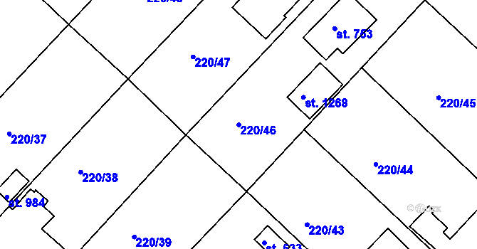 Parcela st. 220/46 v KÚ Luka nad Jihlavou, Katastrální mapa