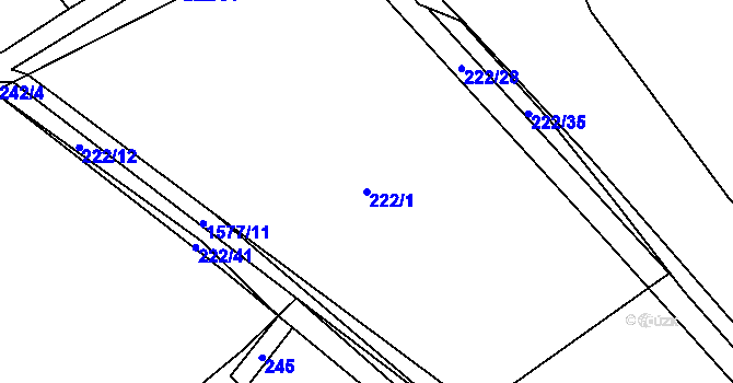 Parcela st. 222/1 v KÚ Luka nad Jihlavou, Katastrální mapa