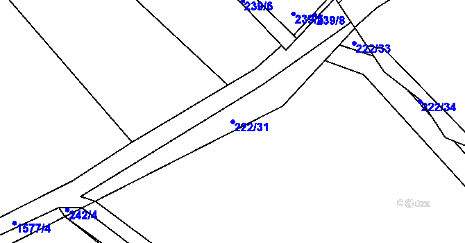 Parcela st. 222/31 v KÚ Luka nad Jihlavou, Katastrální mapa