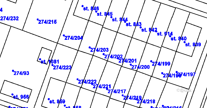Parcela st. 274/202 v KÚ Luka nad Jihlavou, Katastrální mapa