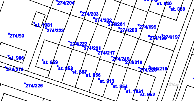 Parcela st. 274/217 v KÚ Luka nad Jihlavou, Katastrální mapa