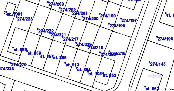 Parcela st. 274/218 v KÚ Luka nad Jihlavou, Katastrální mapa