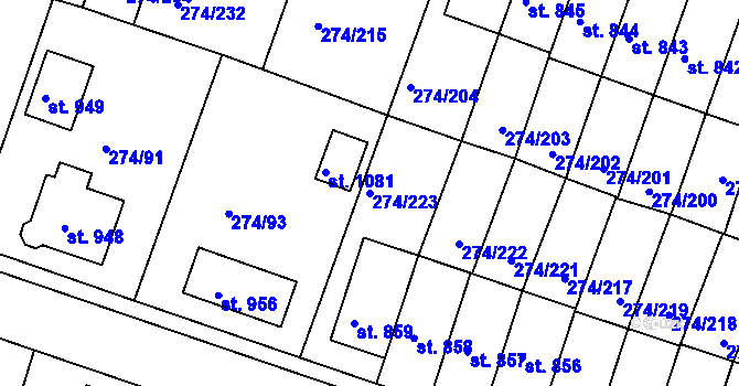 Parcela st. 274/223 v KÚ Luka nad Jihlavou, Katastrální mapa