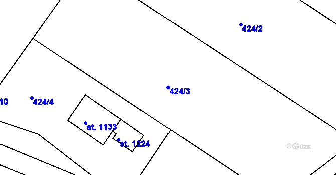 Parcela st. 424/3 v KÚ Luka nad Jihlavou, Katastrální mapa