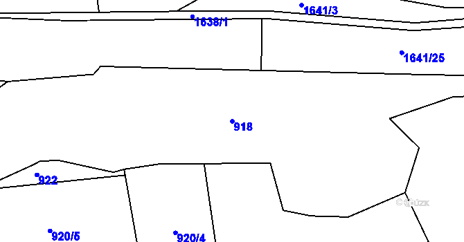 Parcela st. 918 v KÚ Luka nad Jihlavou, Katastrální mapa