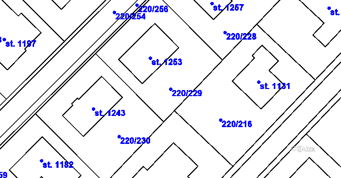 Parcela st. 220/229 v KÚ Luka nad Jihlavou, Katastrální mapa