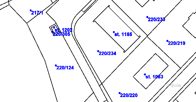 Parcela st. 220/234 v KÚ Luka nad Jihlavou, Katastrální mapa