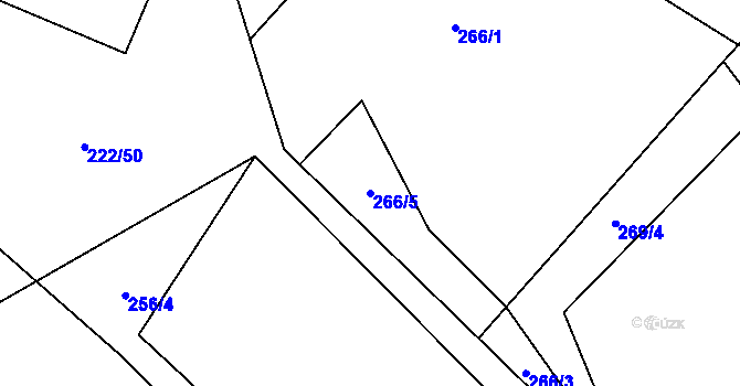 Parcela st. 266/5 v KÚ Luka nad Jihlavou, Katastrální mapa