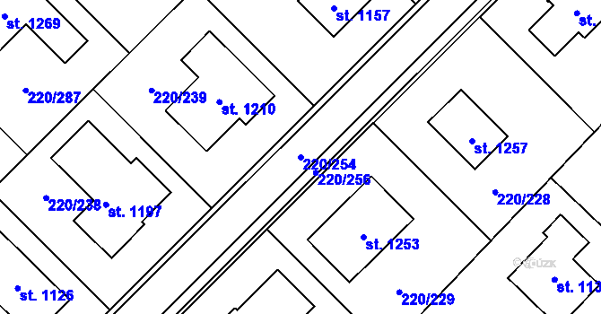 Parcela st. 220/254 v KÚ Luka nad Jihlavou, Katastrální mapa