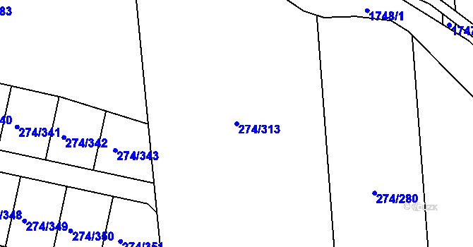 Parcela st. 274/313 v KÚ Luka nad Jihlavou, Katastrální mapa