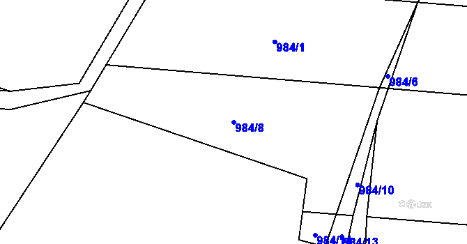 Parcela st. 984/8 v KÚ Luka nad Jihlavou, Katastrální mapa