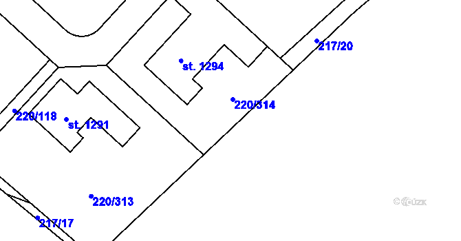 Parcela st. 217/19 v KÚ Luka nad Jihlavou, Katastrální mapa