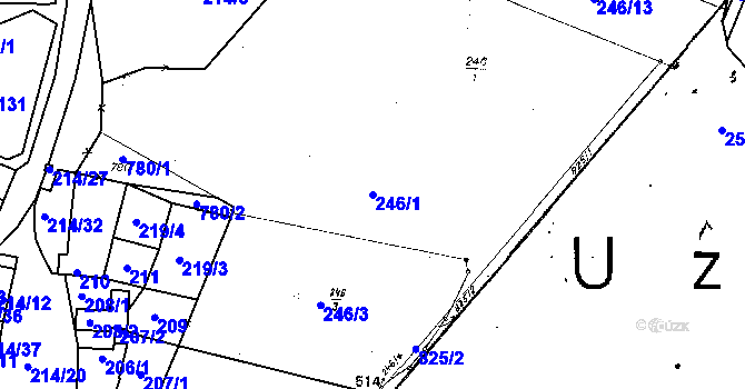 Parcela st. 246/1 v KÚ Lukov nad Dyjí, Katastrální mapa