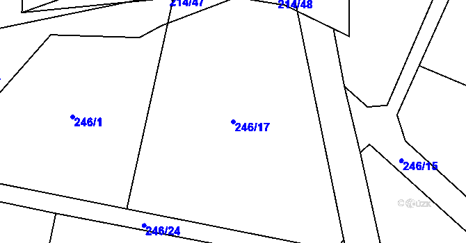 Parcela st. 246/17 v KÚ Lukov nad Dyjí, Katastrální mapa