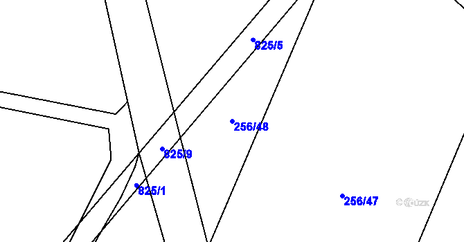 Parcela st. 256/48 v KÚ Lukov nad Dyjí, Katastrální mapa