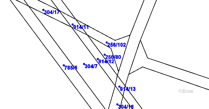 Parcela st. 256/80 v KÚ Lukov nad Dyjí, Katastrální mapa