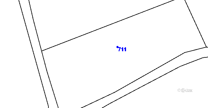 Parcela st. 125/11 v KÚ Lužany nad Trotinou, Katastrální mapa
