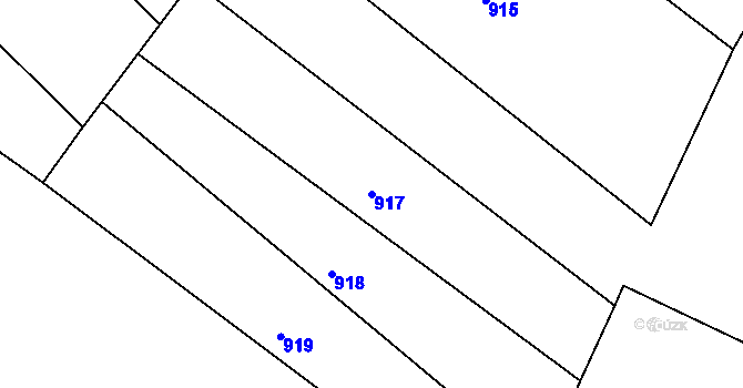 Parcela st. 917 v KÚ Luže, Katastrální mapa