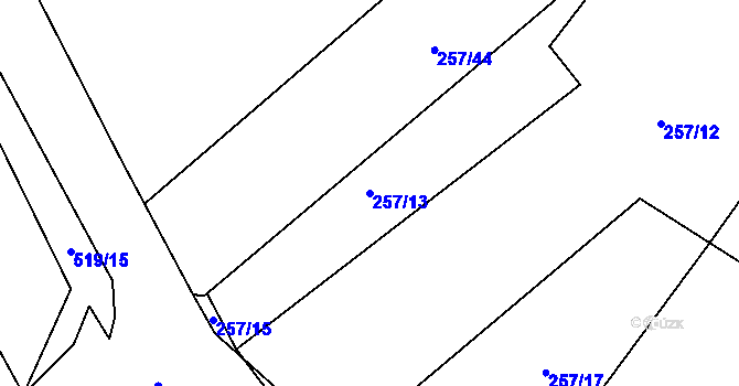 Parcela st. 257/13 v KÚ Luženice, Katastrální mapa