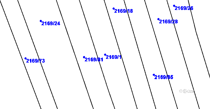 Parcela st. 2169/1 v KÚ Lužná u Rakovníka, Katastrální mapa