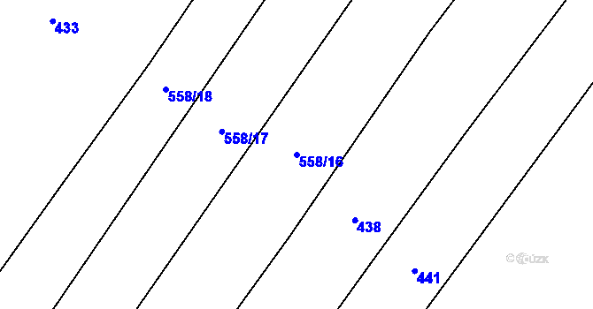 Parcela st. 558/16 v KÚ Lžín, Katastrální mapa