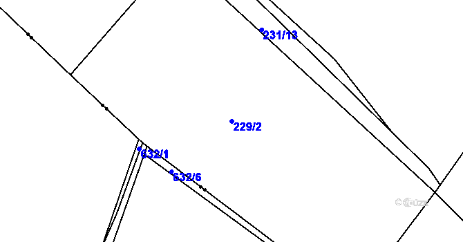 Parcela st. 229/2 v KÚ Bělý, Katastrální mapa