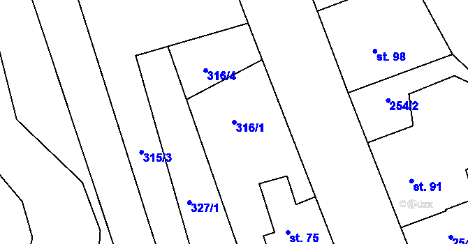 Parcela st. 316/1 v KÚ Majdalena, Katastrální mapa