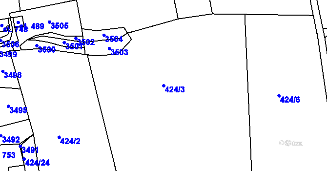 Parcela st. 424/3 v KÚ Malá Bystřice, Katastrální mapa