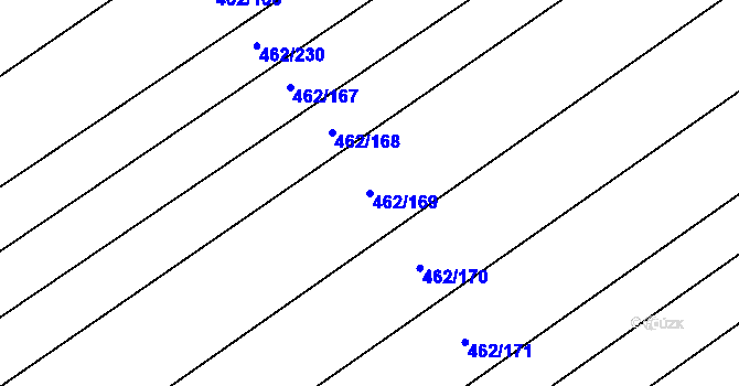 Parcela st. 462/169 v KÚ Malá Hraštice, Katastrální mapa