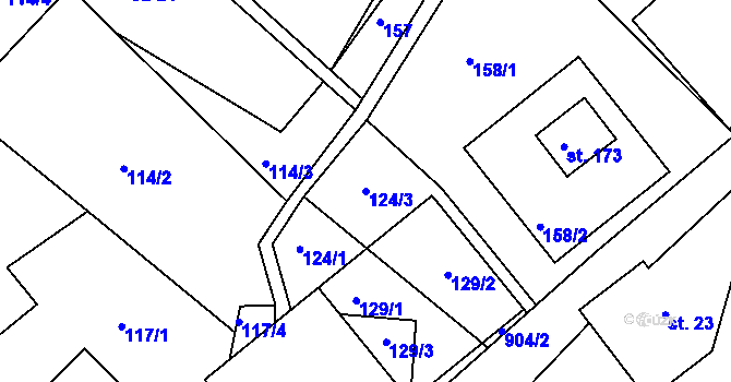 Parcela st. 124/3 v KÚ Sklené u Malé Moravy, Katastrální mapa