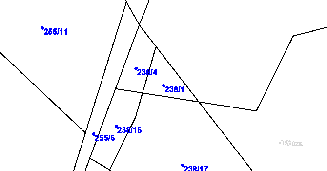 Parcela st. 238/1 v KÚ Vysoká u Malé Moravy, Katastrální mapa