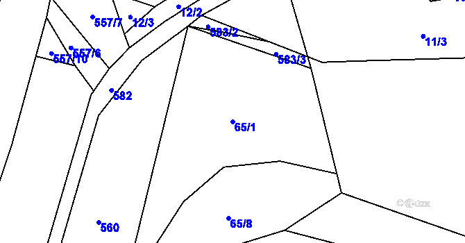 Parcela st. 65/1 v KÚ Skočova Lhota, Katastrální mapa