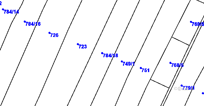 Parcela st. 784/18 v KÚ Malčín, Katastrální mapa