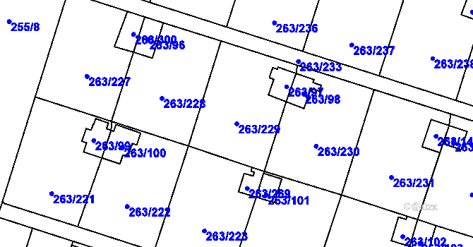 Parcela st. 263/229 v KÚ Malé Březno, Katastrální mapa