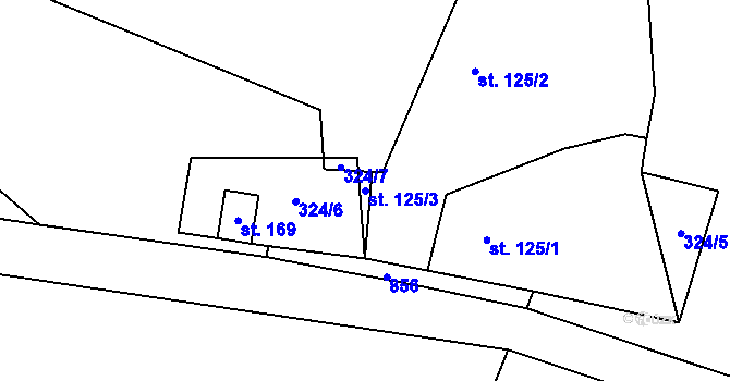 Parcela st. 125/3 v KÚ Malé Všelisy, Katastrální mapa