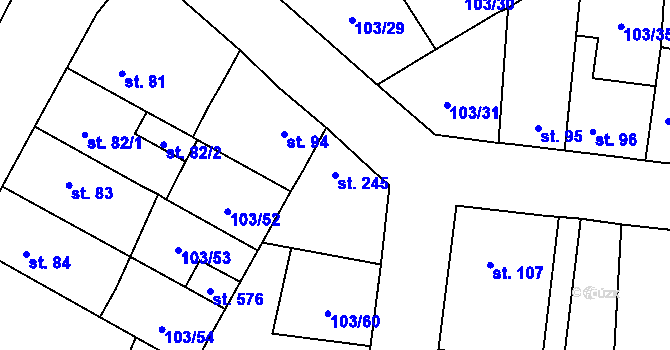 Parcela st. 245 v KÚ Malé Žernoseky, Katastrální mapa