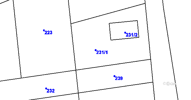 Parcela st. 231/1 v KÚ Dolní Vlkýš, Katastrální mapa
