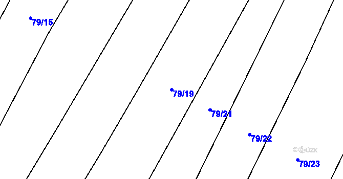 Parcela st. 79/19 v KÚ Týniště u Malešova, Katastrální mapa