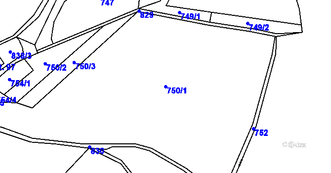 Parcela st. 750/1 v KÚ Javoří u Maletína, Katastrální mapa