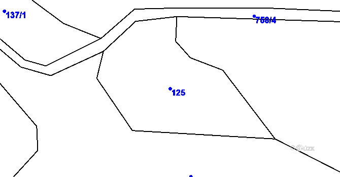 Parcela st. 125 v KÚ Malíkov, Katastrální mapa