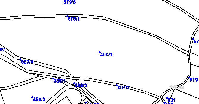Parcela st. 460/1 v KÚ Malíkov, Katastrální mapa