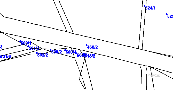 Parcela st. 460/2 v KÚ Ahníkov, Katastrální mapa