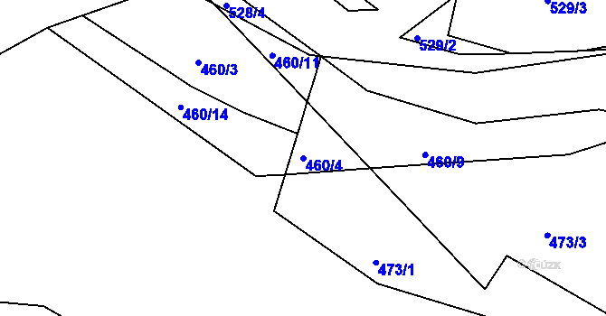 Parcela st. 460/4 v KÚ Ahníkov, Katastrální mapa