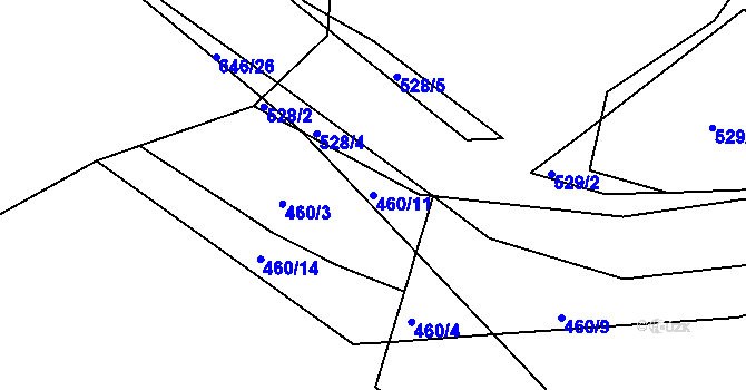 Parcela st. 460/11 v KÚ Ahníkov, Katastrální mapa